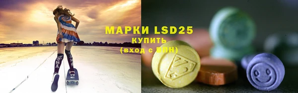 ПСИЛОЦИБИНОВЫЕ ГРИБЫ Покровск
