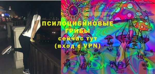 прущий лед Абаза